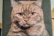 The World of Cats