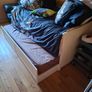 Day Bed Image 2