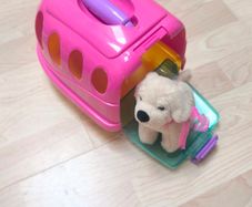 Kids pet carrier case with puppy teddy