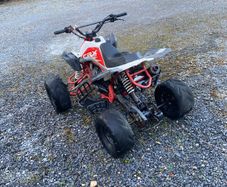 Quad (mini quad) 110 cc