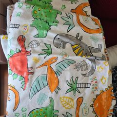 Single Duvet Cover, Pillow case and Blanket