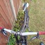 mountain bike Image 8