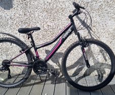 Teenage girl's bike