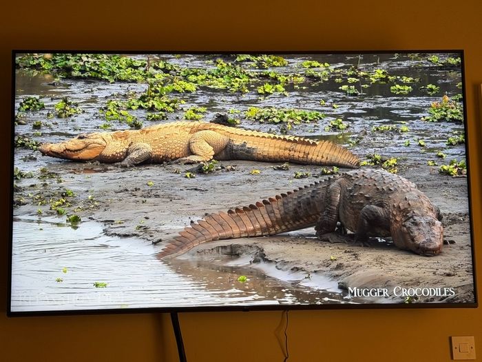 Lg 75" 4K Smart TV 2024 ModelPristine Condition