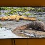 Lg 75" 4K Smart TV 2024 ModelPristine Condition Image 9