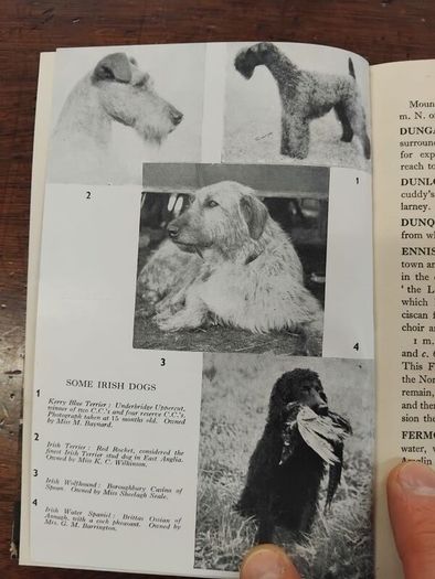 1951 Munster Guide Book