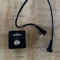 Strymon mini /favourite Switch