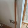 Edwardian Walking Cane Image 2