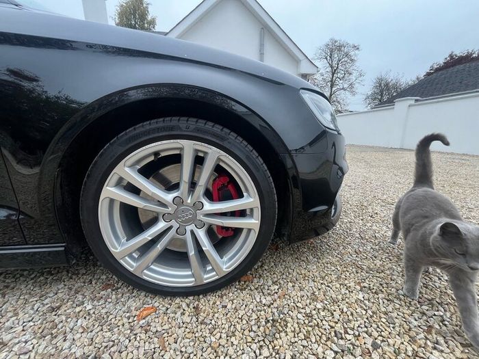 Audi S3 8V