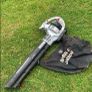 Petrol Leaf Blower Image 2