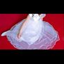 Ballet length Communion Dress and Veil Image 7
