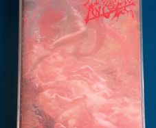 Morbid Angel