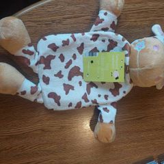 Hot water bottle