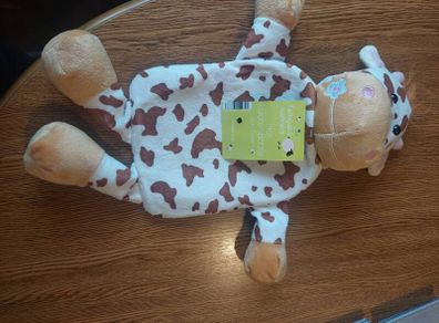 Hot water bottle
