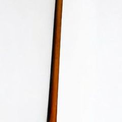 Beautiful antique walking stick with silver knob