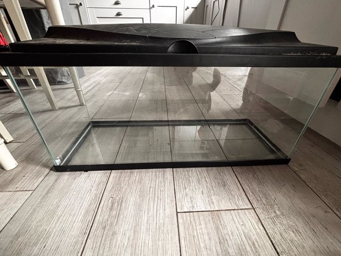 fish tank