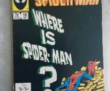 web of Spider-Man