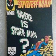 web of Spider-Man