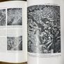 art book 1922 Nouvelle Histoire De France by Albert Malet, French History War Middle Ages Image 4