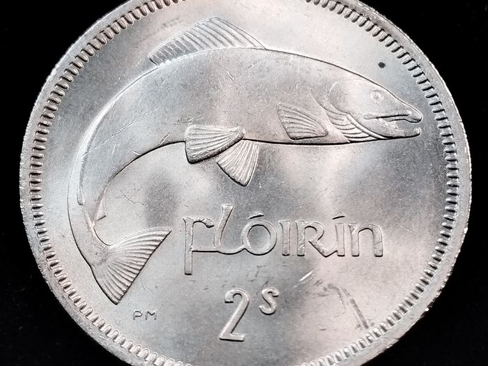 Ireland - 1963 - Florin - AU - KM.15a - [2794]