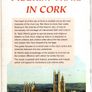 Pilgrim Trail In Cork - A Guide To People And Places In The City's Religious History - Dr. Sean Pettit Image 7