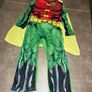 Robin fancy dress costume Image 4