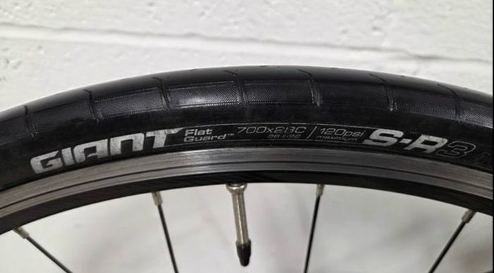 giant contend