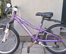 Girls 6 gear bike
