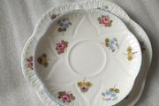 Shelley Plates
