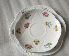 Shelley Plates