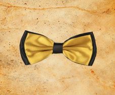 Gold and Black Satin BowTie