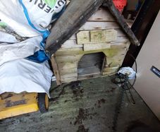 Dog Kennel