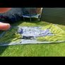 Vango Longleat 800XL Experience 8 Person Tent Image 5