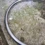 stool Image 4