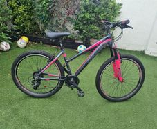 Girls mountain Bike