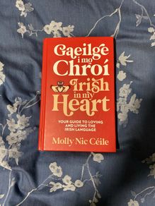 Gaeilge I Mo Chroi / Irish In My Heart, Irish language book