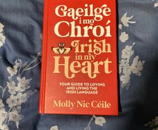 Gaeilge I Mo Chroi / Irish In My Heart, Irish language book