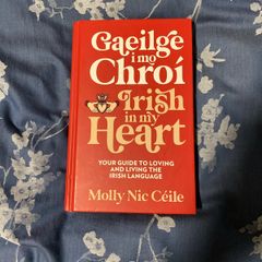 Gaeilge I Mo Chroi / Irish In My Heart, Irish language book