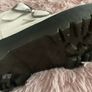 Devon Heart Leather Platform Boots Image 2