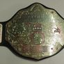 Selection of kids wrestling belts Image 8