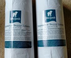Disposable liner