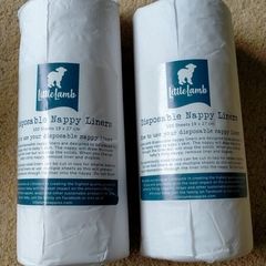 Disposable liner
