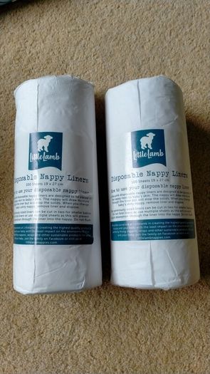 Disposable liner
