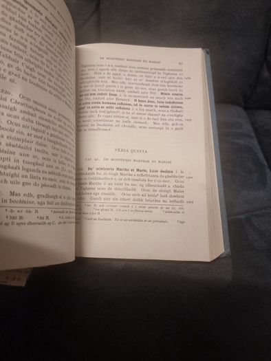 Smaointe beatha Chriost. I .innsint Ghealge a chuir Tomas Gruamdha OBrachain... (Hardcover)