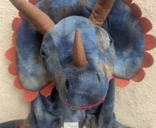 Dinosaur Costume