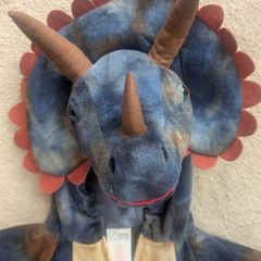 Dinosaur Costume