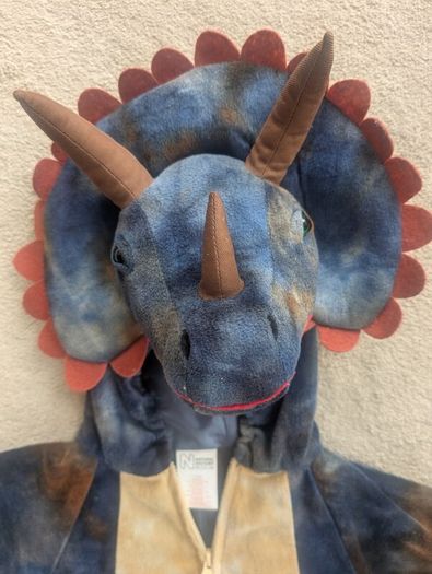Dinosaur Costume