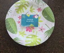 24 paper dinner plates