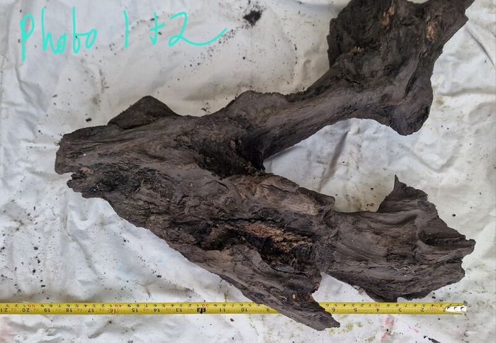 Collection of 4 Ancient Irish Bog Oak Pieces