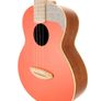 Anuenue tenor ukulele and case Image 4